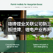 赣锋锂业关联公司新三板挂牌,锂电产业布局曝光 赣锋锂业关联公司新三板挂牌,锂电产业布局曝光