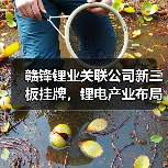 赣锋锂业关联公司新三板挂牌,锂电产业布局曝光 赣锋锂业关联公司新三板挂牌,锂电产业布局曝光