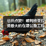 总统点赞!玻利维亚投资最大的在建公路工程全面通车 总统点赞!玻利维亚投资最大的在建公路工程全面通车