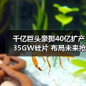 千亿巨头豪掷40亿扩产35GW硅片 布局未来抢滩光伏赛道 千亿巨头豪掷40亿扩产35GW硅片 布局未来抢滩光伏赛道