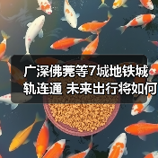 广深佛莞等7城地铁城轨连通 未来出行将如何改变 广深佛莞等7城地铁城轨连通 未来出行将如何改变