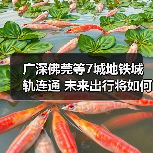 广深佛莞等7城地铁城轨连通 未来出行将如何改变 广深佛莞等7城地铁城轨连通 未来出行将如何改变