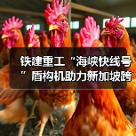 铁建重工“海峡快线号”盾构机助力新加坡跨海输水隧道工程顺利贯通