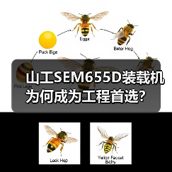 山工SEM655D装载机为何成为工程首选? 山工SEM655D装载机为何成为工程首选?