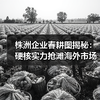 株洲企业春耕图揭秘:硬核实力抢滩海外市场 株洲企业春耕图揭秘:硬核实力抢滩海外市场