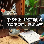 千亿央企150亿砸向光伏风电项目:新能源布局加速 千亿央企150亿砸向光伏风电项目:新能源布局加速