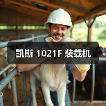 凯斯 1021F 装载机 凯斯 1021F 装载机