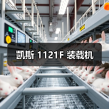凯斯 1121F 装载机 凯斯 1121F 装载机