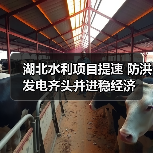 湖北水利项目提速 防洪发电齐头并进稳经济 湖北水利项目提速 防洪发电齐头并进稳经济