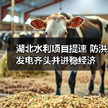湖北水利项目提速 防洪发电齐头并进稳经济 湖北水利项目提速 防洪发电齐头并进稳经济