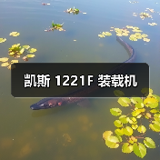 凯斯 1221F 装载机