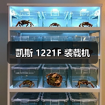 凯斯 1221F 装载机