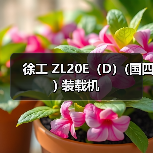 徐工 ZL20E（D）(国四) 装载机