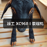 徐工 XC968 I 装载机 徐工 XC968 I 装载机
