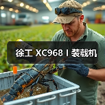 徐工 XC968 I 装载机 徐工 XC968 I 装载机