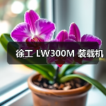 徐工 LW300M 装载机 徐工 LW300M 装载机