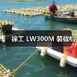 徐工 LW300M 装载机 徐工 LW300M 装载机