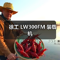 徐工 LW300FM 装载机 徐工 LW300FM 装载机