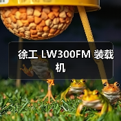 徐工 LW300FM 装载机 徐工 LW300FM 装载机