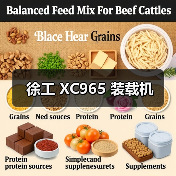 徐工 XC965 装载机 徐工 XC965 装载机
