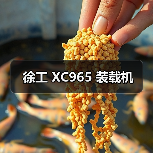 徐工 XC965 装载机 徐工 XC965 装载机