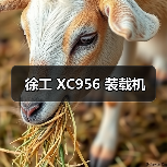 徐工 XC956 装载机 徐工 XC956 装载机
