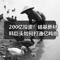 200亿投资!硅基新材料巨头如何打造亿吨级项目? 200亿投资!硅基新材料巨头如何打造亿吨级项目?