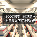 200亿投资!硅基新材料巨头如何打造亿吨级项目? 200亿投资!硅基新材料巨头如何打造亿吨级项目?